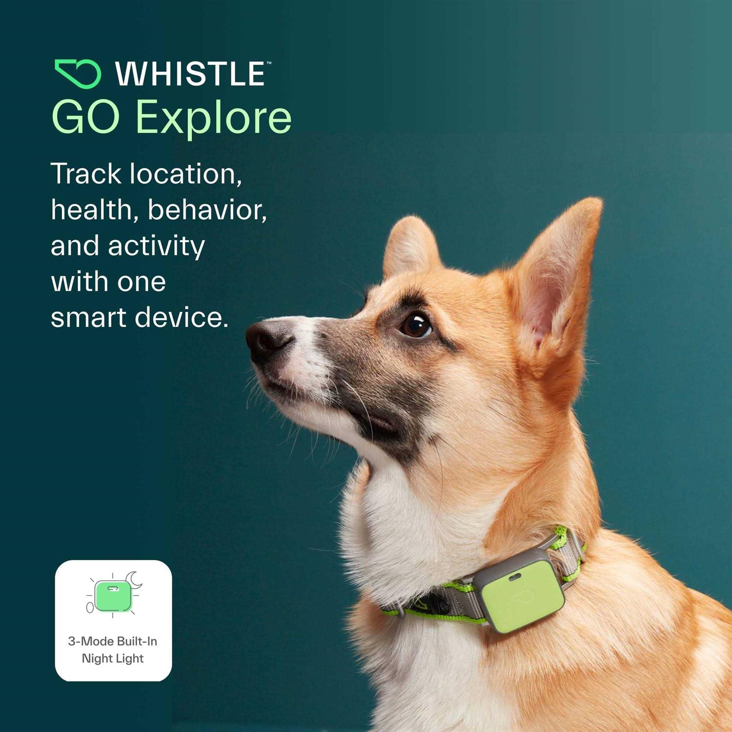 Whistle Go Explore Dog GPS Tracker - Pet Supplies online store