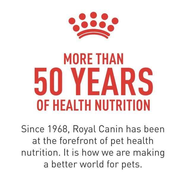 Royal Canin Veterinary Diet Adult Renal Support Early Consult Loaf in Sauce Canned Cat Food - Pet Supplies online store