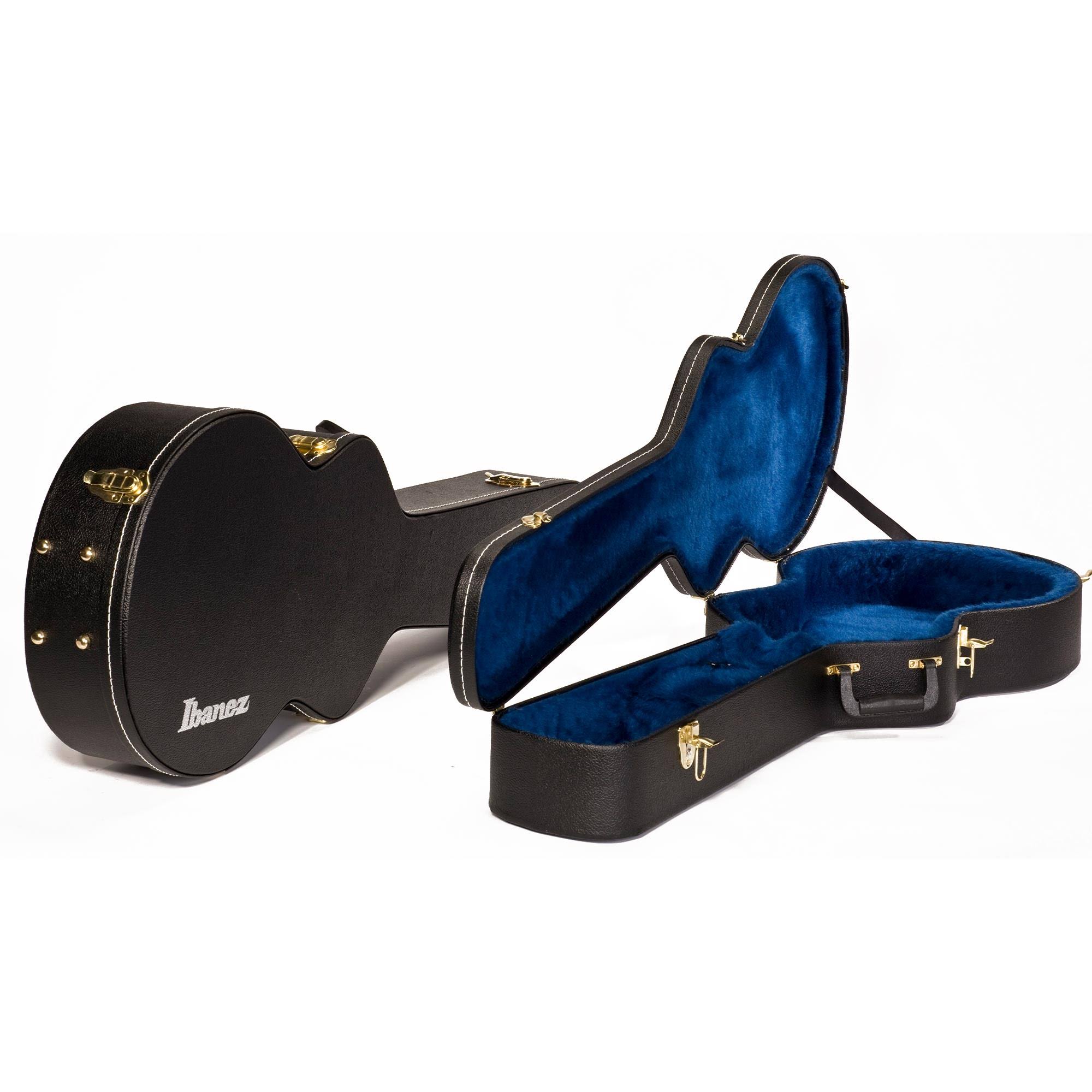 Ibanez AG100C Guitar Case