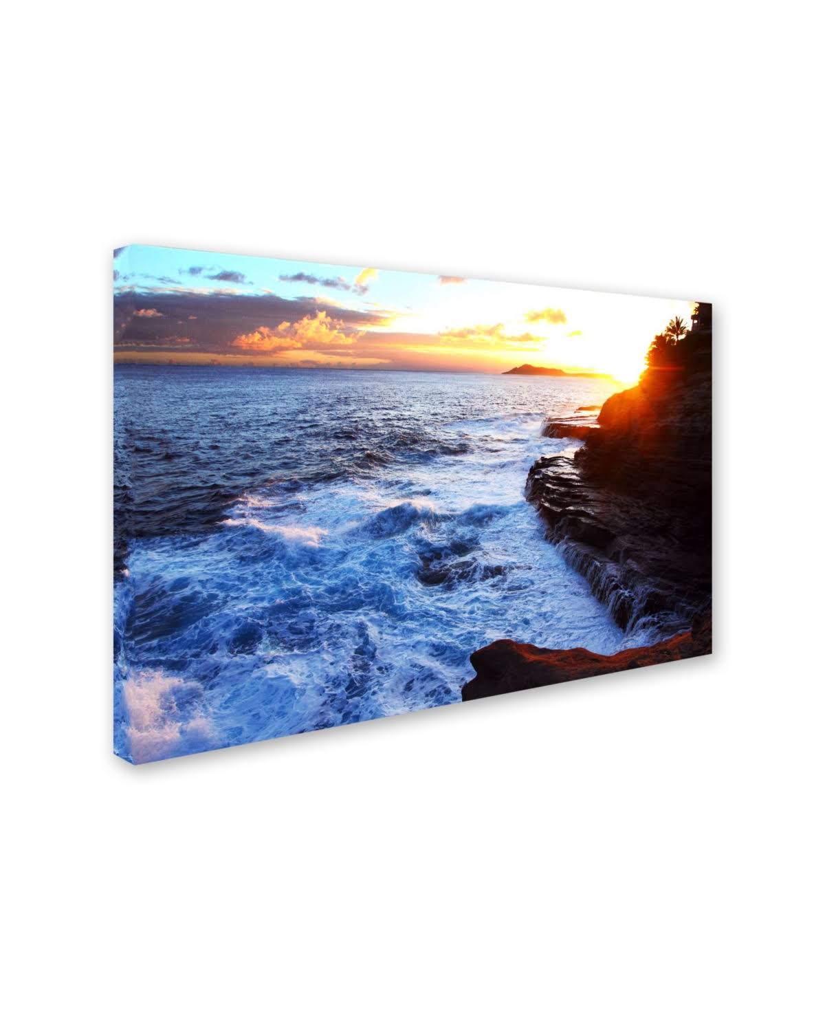 Trademark Fine Art Js0055-C3047Gg Jason Shaffer 'Hawaii 4' Canvas Art,