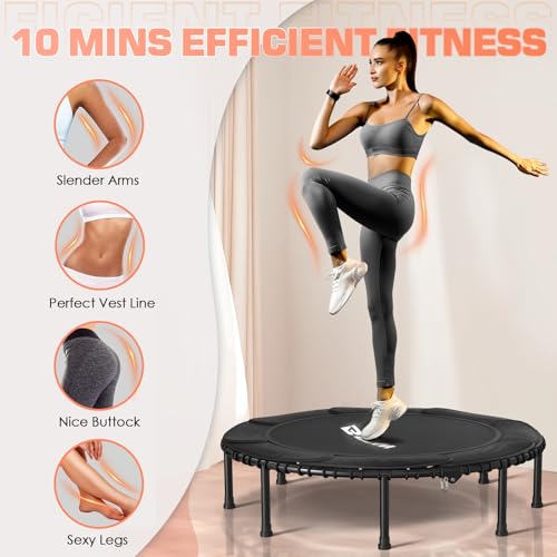 BCAN 450LBS/550LBS Foldable Mini Trampoline, 40"/48" Fitness Trampoline with Durable Bungees, Stable & Quiet Exercise Rebounder for Kids/Adults,Great Mini Trampoline for Indoor/Garden Workout