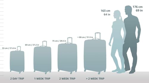 Samsonite Winfield 2 Hardside Expandable Luggage with Spinner Wheels, Brushed Anthracite, Checked-Large 28-Inch