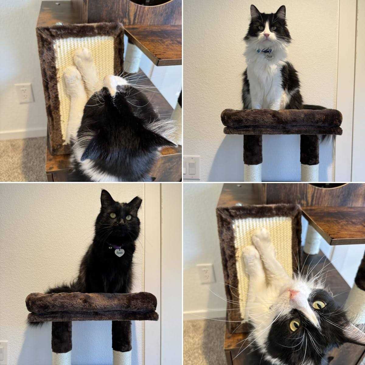 YITAHOME Modern Cat Tree with Litter Box Enclosure, Combo Endtable and - Pet Supplies online store