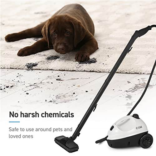 COMMERCIAL CARE Steam Cleaner