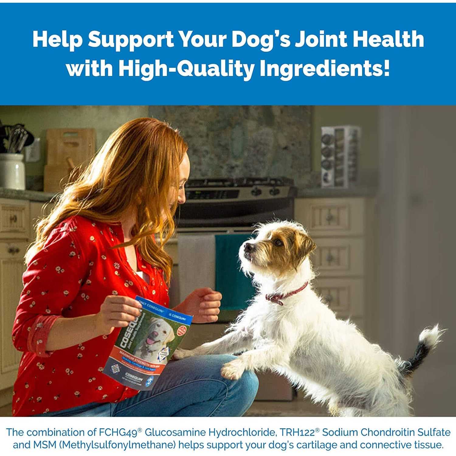 Cosequin DS Chewable Tablets for Dogs - Pet Supplies online store