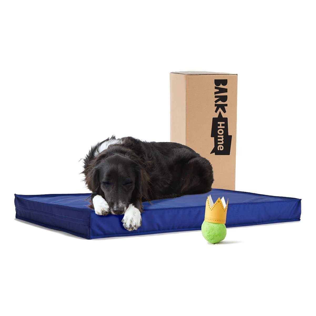 Barkbox Outdoor Dog Bed Waterproof Dog or Cat Mattress Bed with Removable Cover - Pet Supplies online store