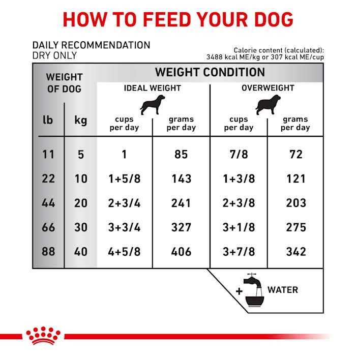 Royal Canin Veterinary Diet Hydrolyzed Protein Moderate Calorie Dry Dog Food - Pet Supplies online store