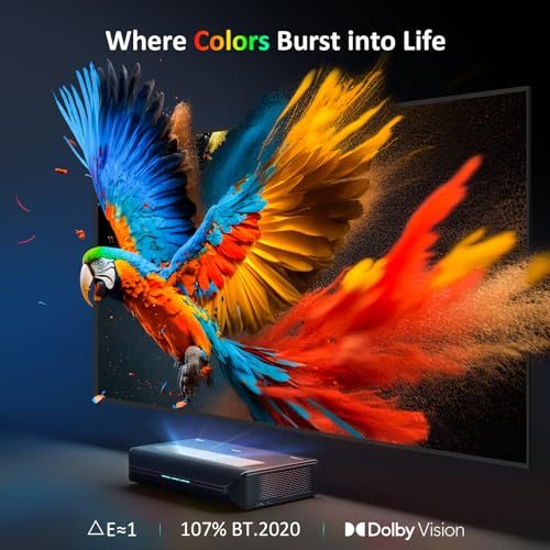 NexiGo Aurora Pro Projector Variation
