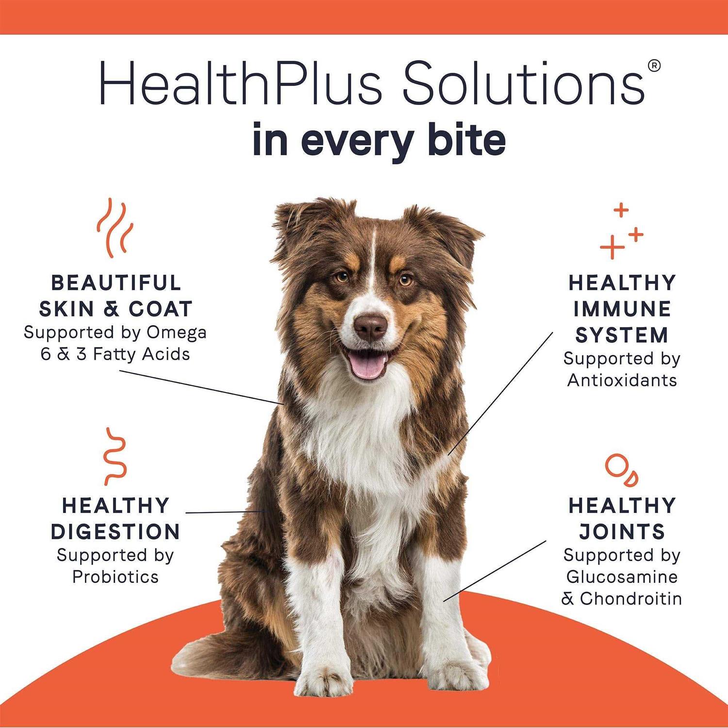 Canidae All Life Stages Dry Dog Food Lamb Meal &amp; Rice - Pet Supplies online store