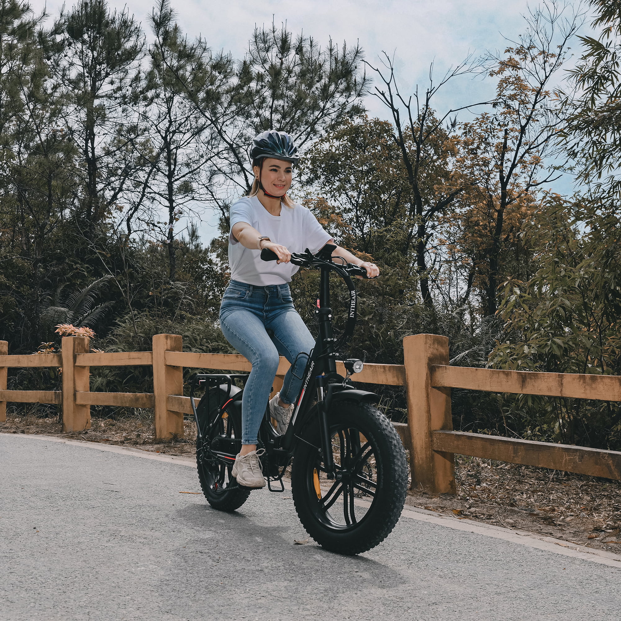 INTHEAIR Ranger Electric Bike, Adults Foldable Ebike for Adults 20 x 4.0 Fat Tire Step Thru Electric Bicycle with 750W Motor, 48V 13AH-Black