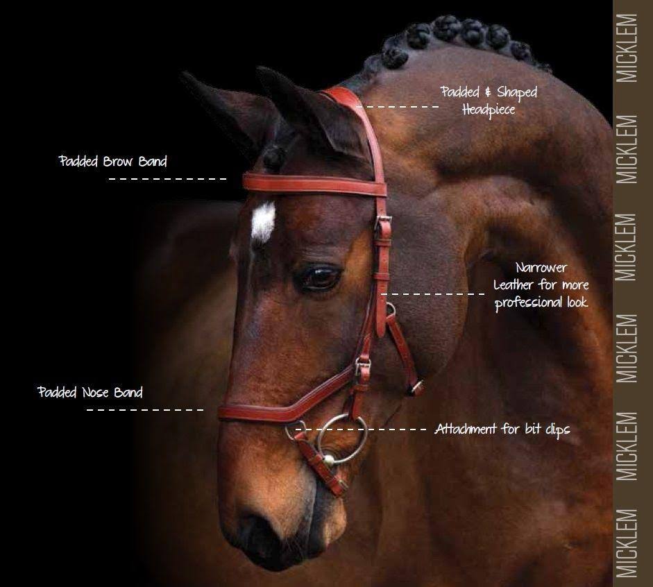 Rambo Micklem Competition Bridle - Brown