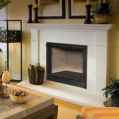 Duluth Forge ProCom Heating Dual Fuel Ventless Gas Firebox Insert with Mantle, Use with Natural Gas or Liquid Propane