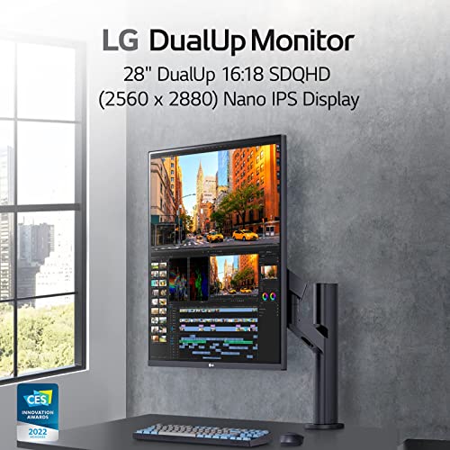 LG DualUp Monitor