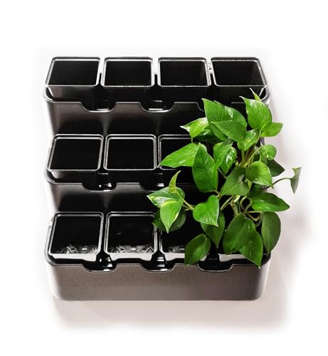 BOXSAND-12 (24"x26") Living Wall - Wall Planter, Vertical Garden for 12 Plants, Indoor/Outdoor, 2 Screws Install (White) with Black Square Pots