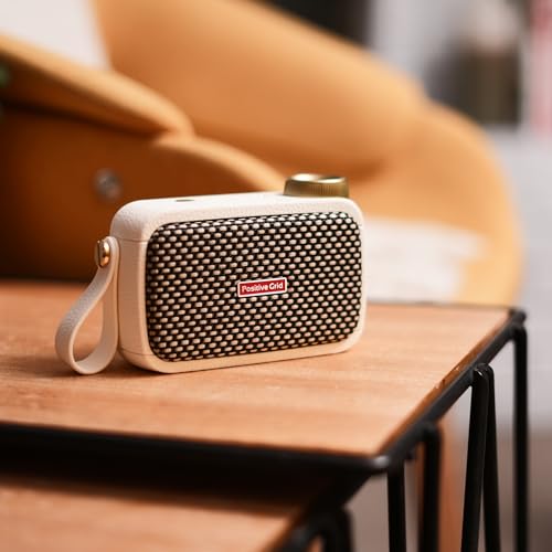 Positive Grid Spark GO 5W Ultra-Portable Smart Guitar Amp, Headphone Amp & Bluetooth Speaker with Smart App for Electric Guitar, Acoustic or Bass
