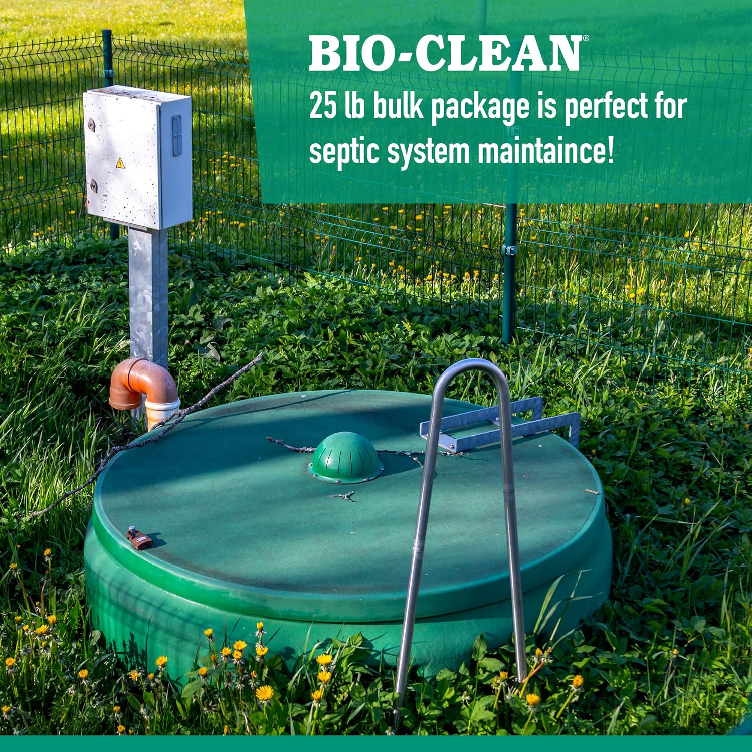 Drain Septic Bacteria (25lb Bulk) Cleans Drains- Septic Tanks - Grease Traps All Natural and 100% Guaranteed No Caustic Chemicals! Removes fats oil and grease, completely cleans your system.