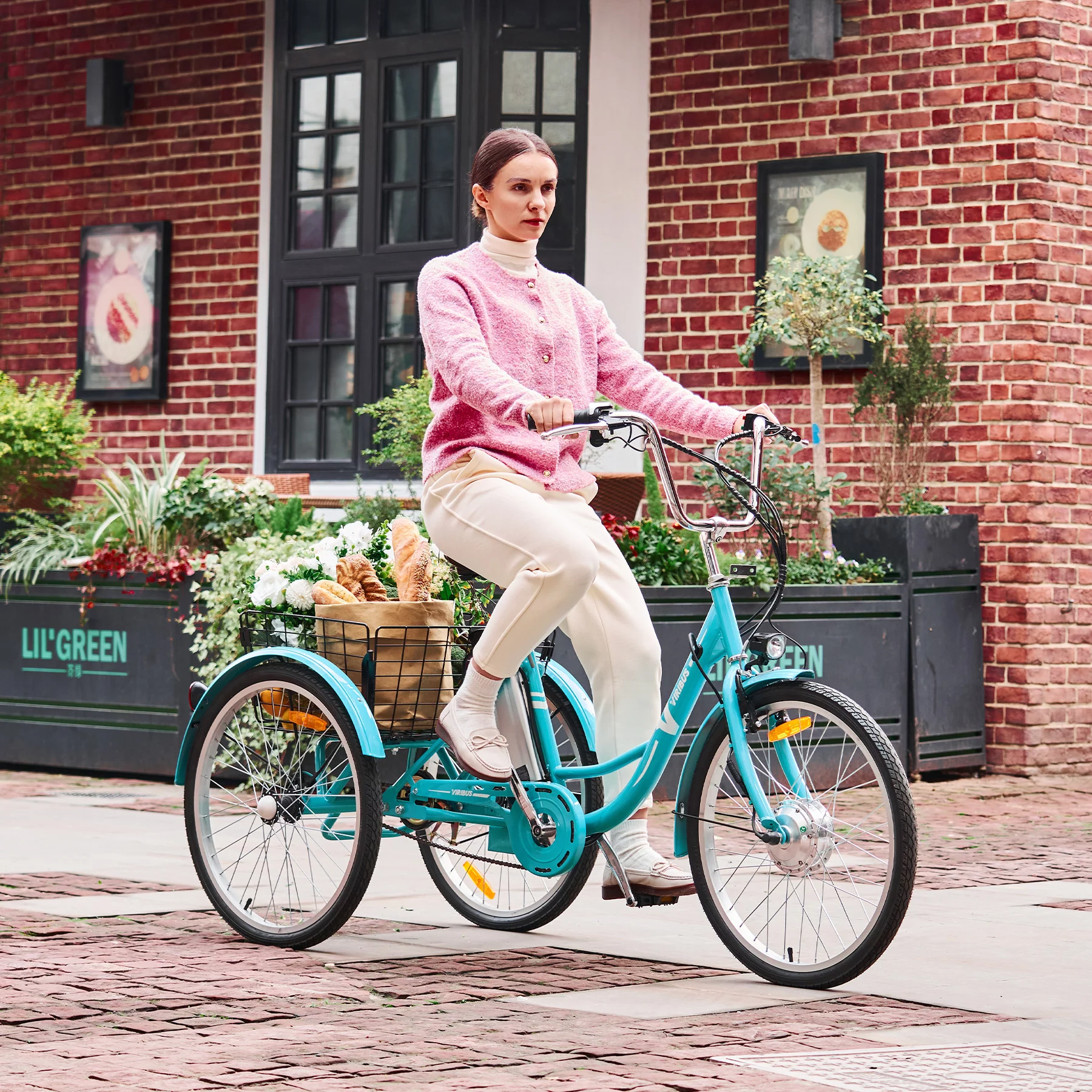 26 Electric Tricycle for Adults 3 Wheel Electric Bike 250W Electric Trike Black