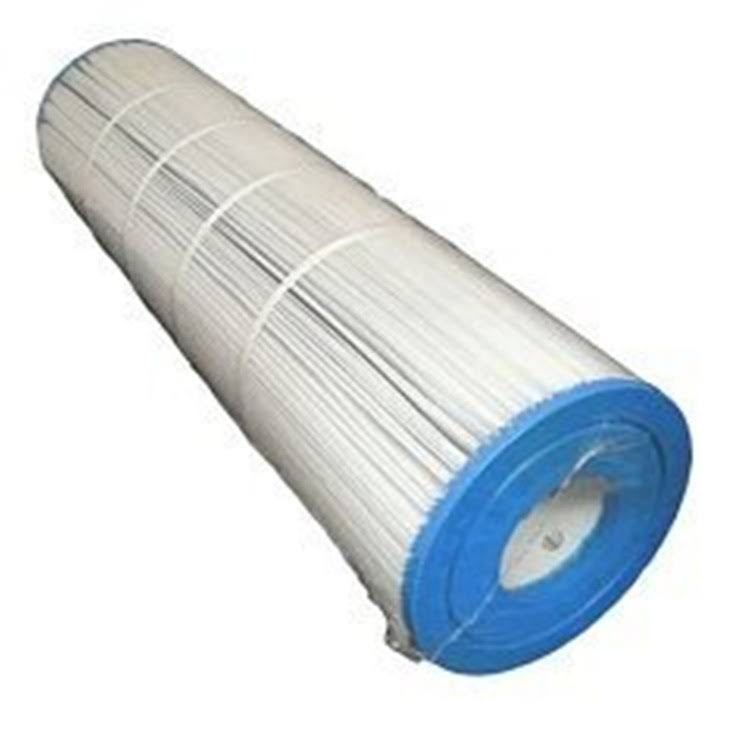 Pentair R173576 Replacement Cartridge for Clean Clear Plus 420