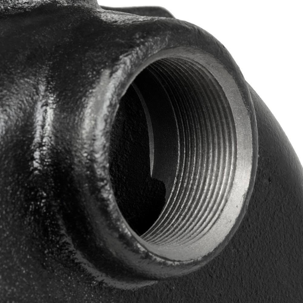Wayne 1-1/2 HP Cast Iron Lawn Sprinkler Pump WLS150