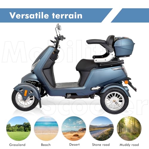 Heavy Duty 4 Wheel Mobility Scooters for Adults, 800W Powered All Terrain Mobility Scooters with Seat and Remote Control, Handicap Scooters for Seniors Outdoor Long Range Travel (Sliver)