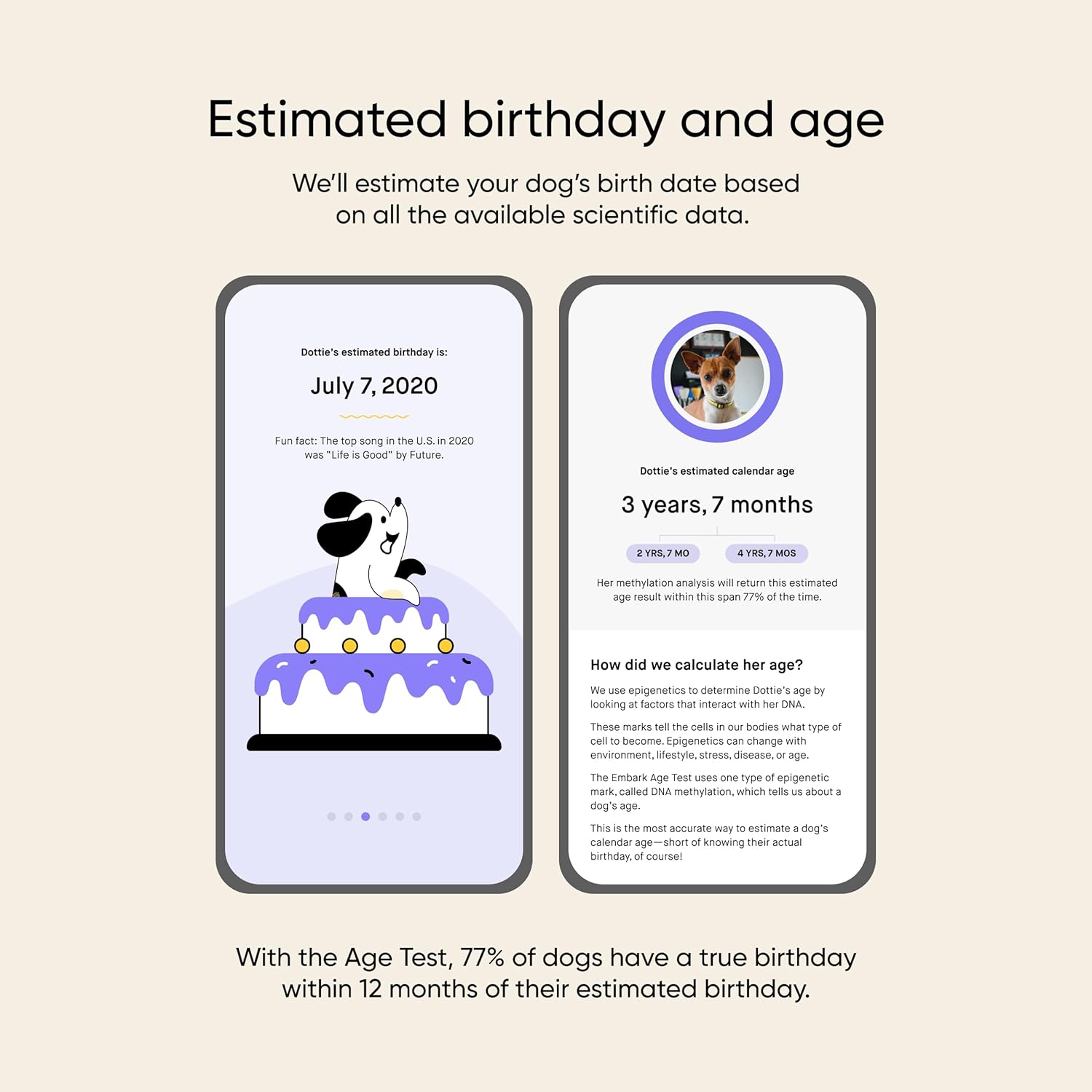 Embark Breed Identification Dog DNA Test & Dog Age Test Bundle - Discover Breed, Ancestry, Relatives, and Birthday