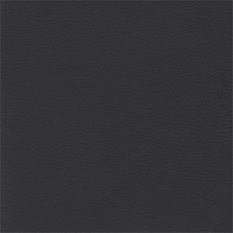 Bush Furniture Fairview Wingback Leather Executive Office Chair with Nailhead Trim in Black