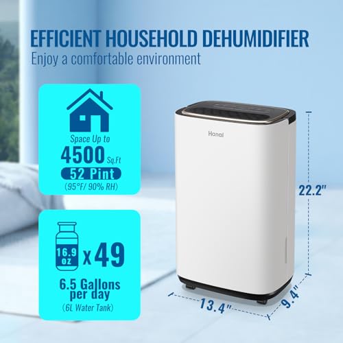 Dehumidifier for Home & Basement Small Dehumidifiers with Drain Hose for Medium to Large Room