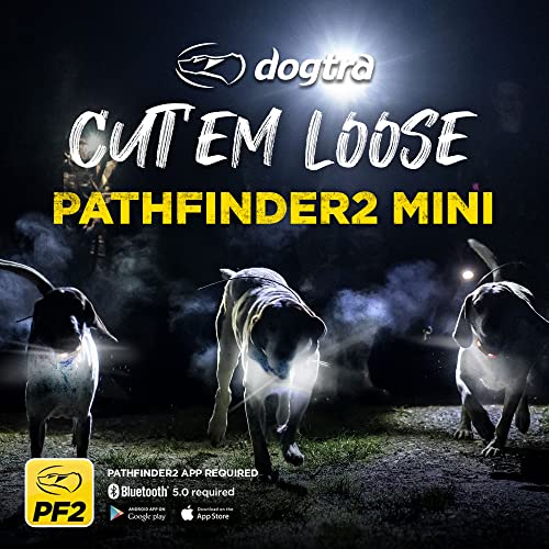 Dogtra Pathfinder 2 GPS Dog Tracker e Collar 9 Mile Long Range LED Light No Monthly fees Free App Waterproof Smartwatch Control Satellite Real Time Tracking Multiple Dogs Smartphone Required