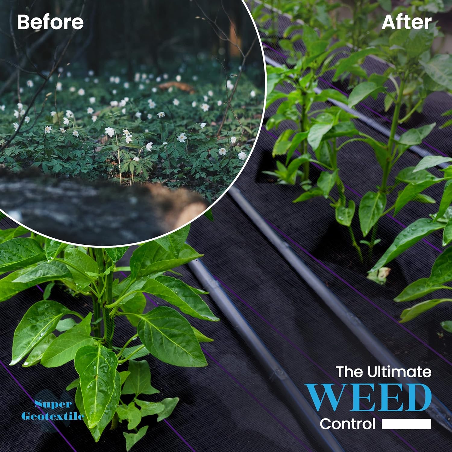 Professional 5oz Geotextile Weed Barrier Fabric - Heavy Duty Landscape Fabric for Gardening, Landscaping, Weed Fabric, Eco Friendly (8x100)