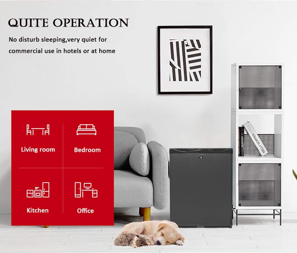 SMETA Mini Fridge No Noise: Absorption Refrigerator 12V/110V Portable for Dorm Office Truck Camper, with Lock, DC AC, 1.0 Cu.Ft, Black