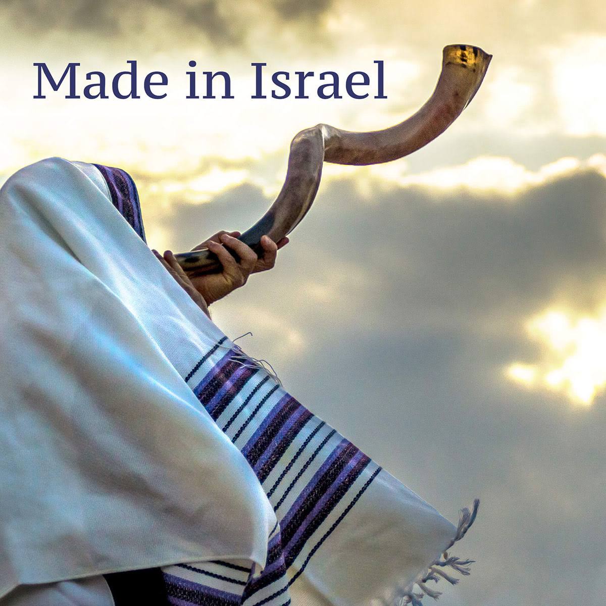 Sterling Silver Plated Yemenite Kudu Shofar - Jerusalem Design (Choice of Sizes)