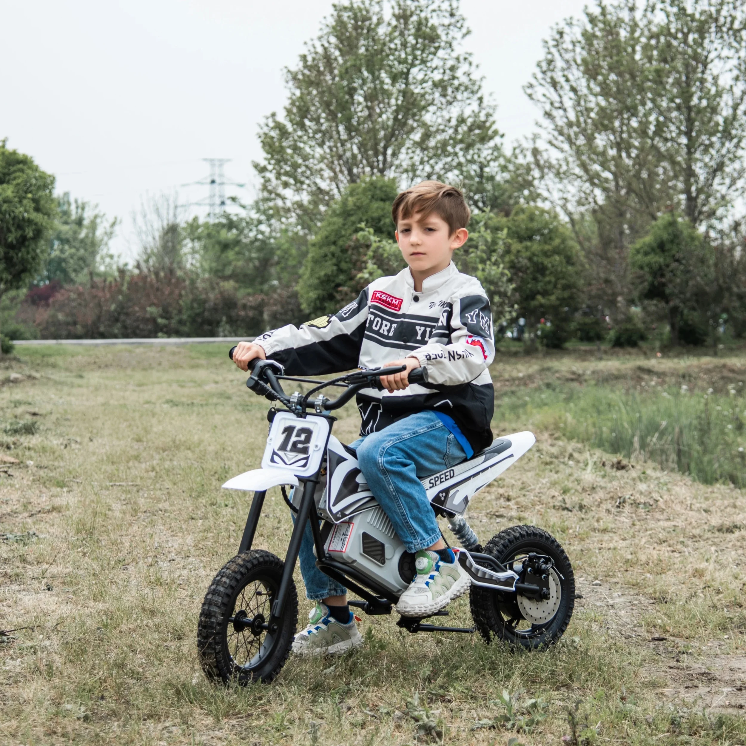 Freddo 36V Electric Dirt Bike with Brushless Motor - Curated Treasures Market
