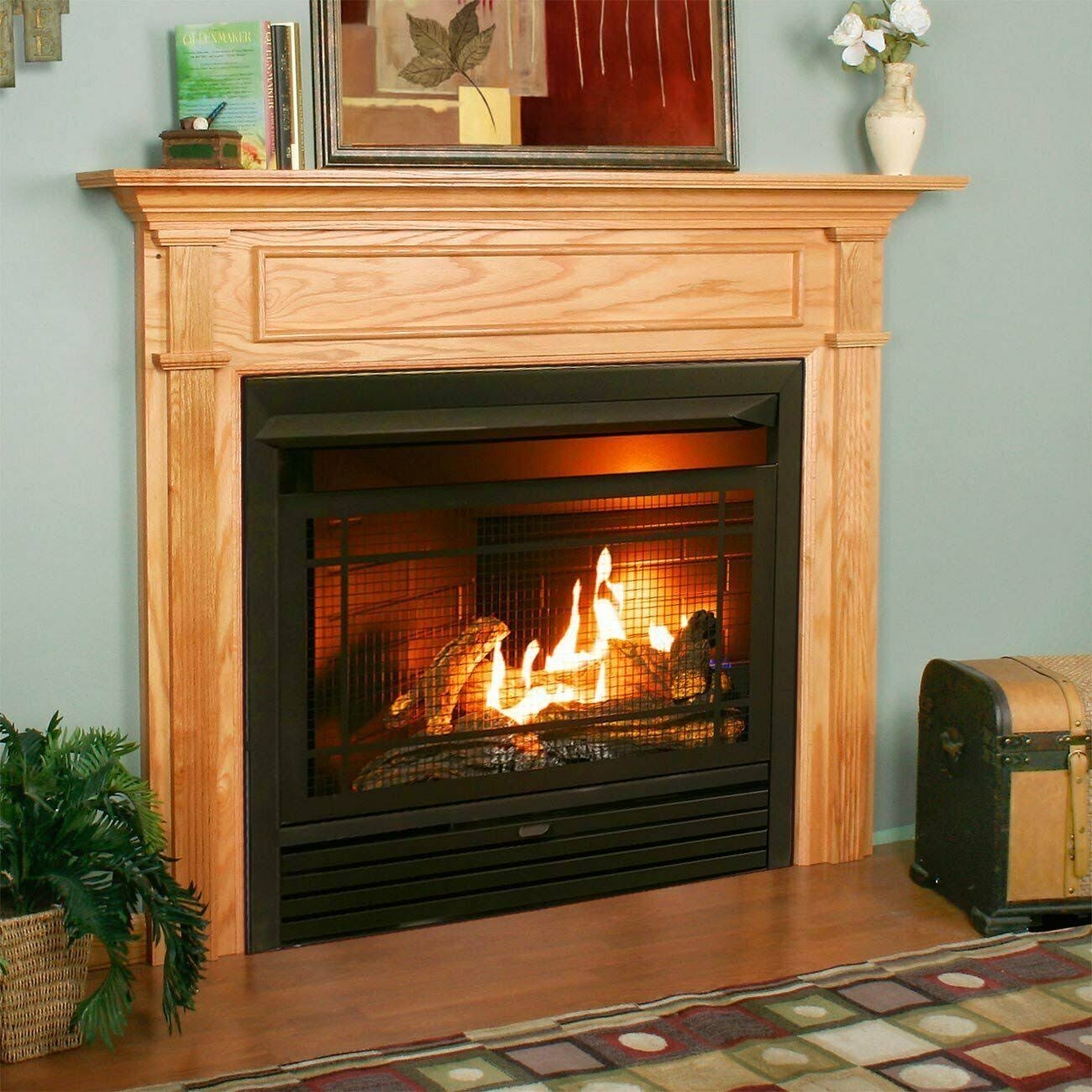 Duluth Forge Dual Fuel Ventless GAS Fireplace Insert - 26,000 BTU, Remote Control FDF300R