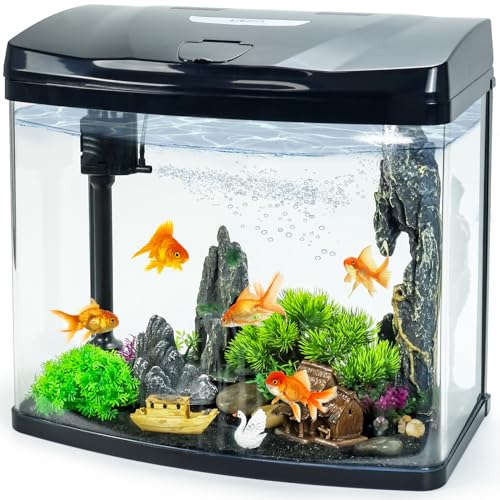 10 Gallon Glass Aquarium Starter Kit with Flip-Top Feeding Port for Betta Fish: Crystal Clear Viewing, Eco-Cycle Filtration, Air Pump, and LED Lighting