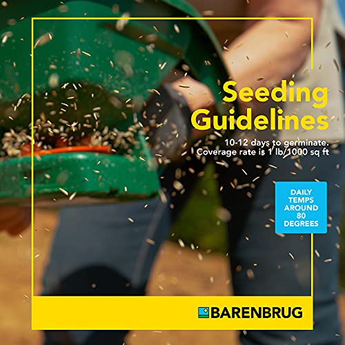 Barenbrug 25016 Bermudagrass Grass Seed for Sunny Areas and Humid Climates, 25 LB Bag