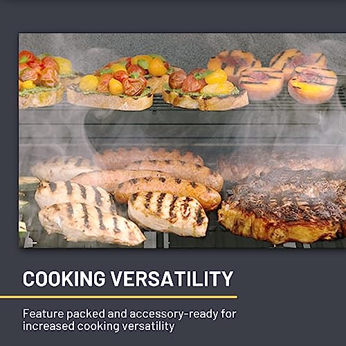 Char-Broil Performance Series Convective 2-Burner Cabinet Propane Gas Stainless Steel Grill - 463673519P1