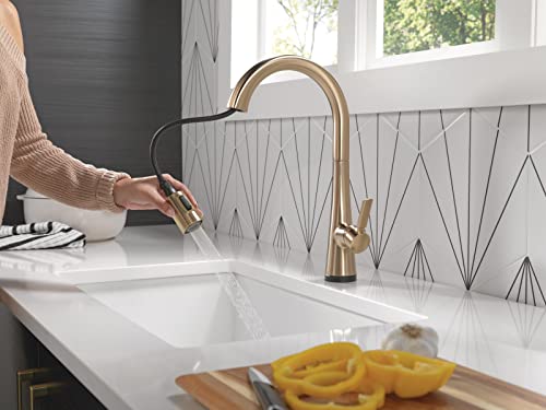 Delta Faucet Monrovia Kitchen Faucet