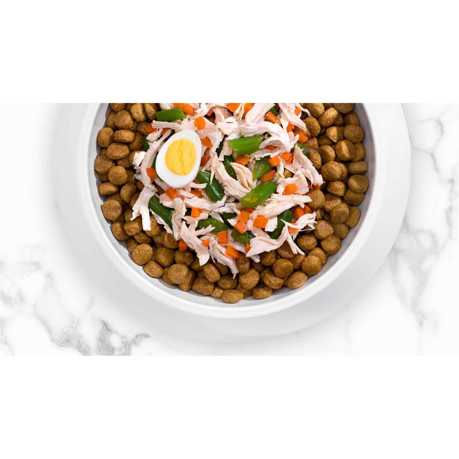 Nutro So Simple Beef Adult Dry Dog Food - Pet Supplies online store