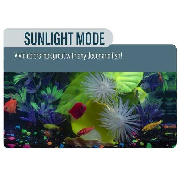 GloFish Betta Fish Aquarium Kit - Pet Supplies online store