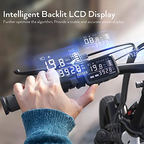 Vivi Gopina Electric Bike, 16" x 3.0 Fat Tire Electric Bike, 350W Step Thru Electric Bicycle, 48V Removable Battery, Up to 40 Miles, LCD Display, 20mph, 7 Speed, UL 2849 Certification