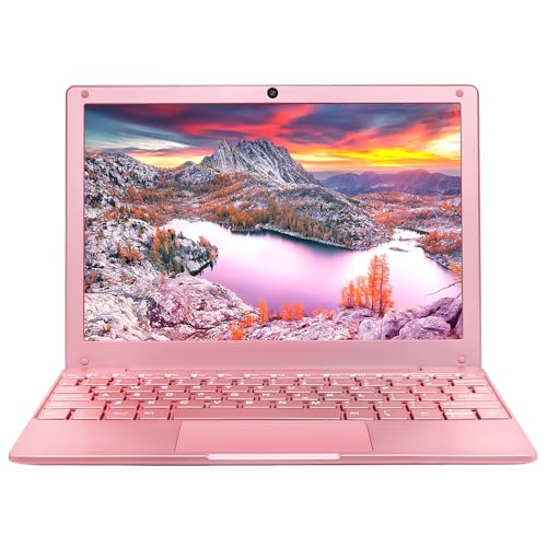 Svikou【Win11 Pro/Office 2019 10.1-inch Mini Laptop Celeron N4020, Quad Core 8GB RAM, 256GB SSD, Built-in Webcam, WiFi, HDMI, Easy to Carry, Suitable for Children and Adults,Gray