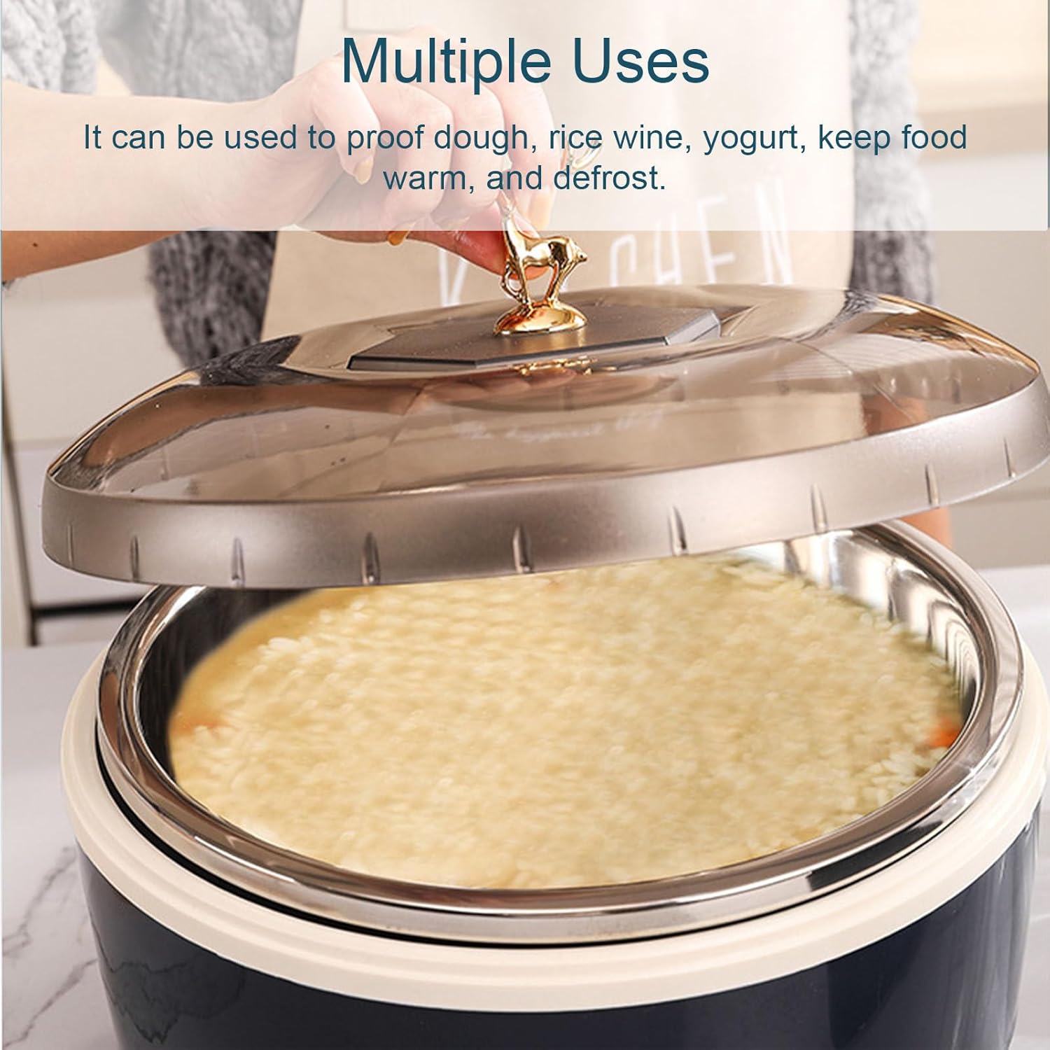 Electric Bread Dough Proofer Machine, Bread Making Tools Kit, Temperature/Time Adjustment, Stainless Steel Liner, With 2 Round Steamer Racks, For Making Bread, Yogurt, Pizza,Blue