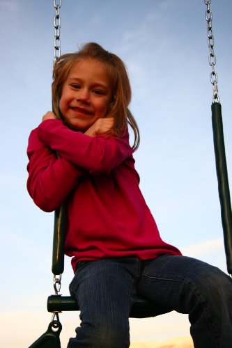 Lifetime Heavy Duty A-Frame Metal Swing Set