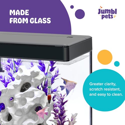JumblPets Premium Fish Aquarium Kit
