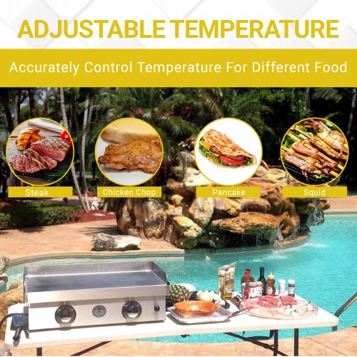 Le Griddle | Burner Outdoor Stainless Steel Griddle |
