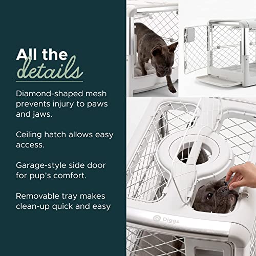 Diggs Revol Dog Crate (Collapsible Dog Crate, Portable Dog Crate, Travel Dog Crate, Dog Kennel) for Large Dogs and Puppies (Ash)