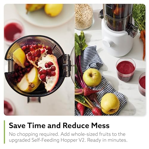Hurom H310A Personal Self Feeding Slow Masticating Juicer