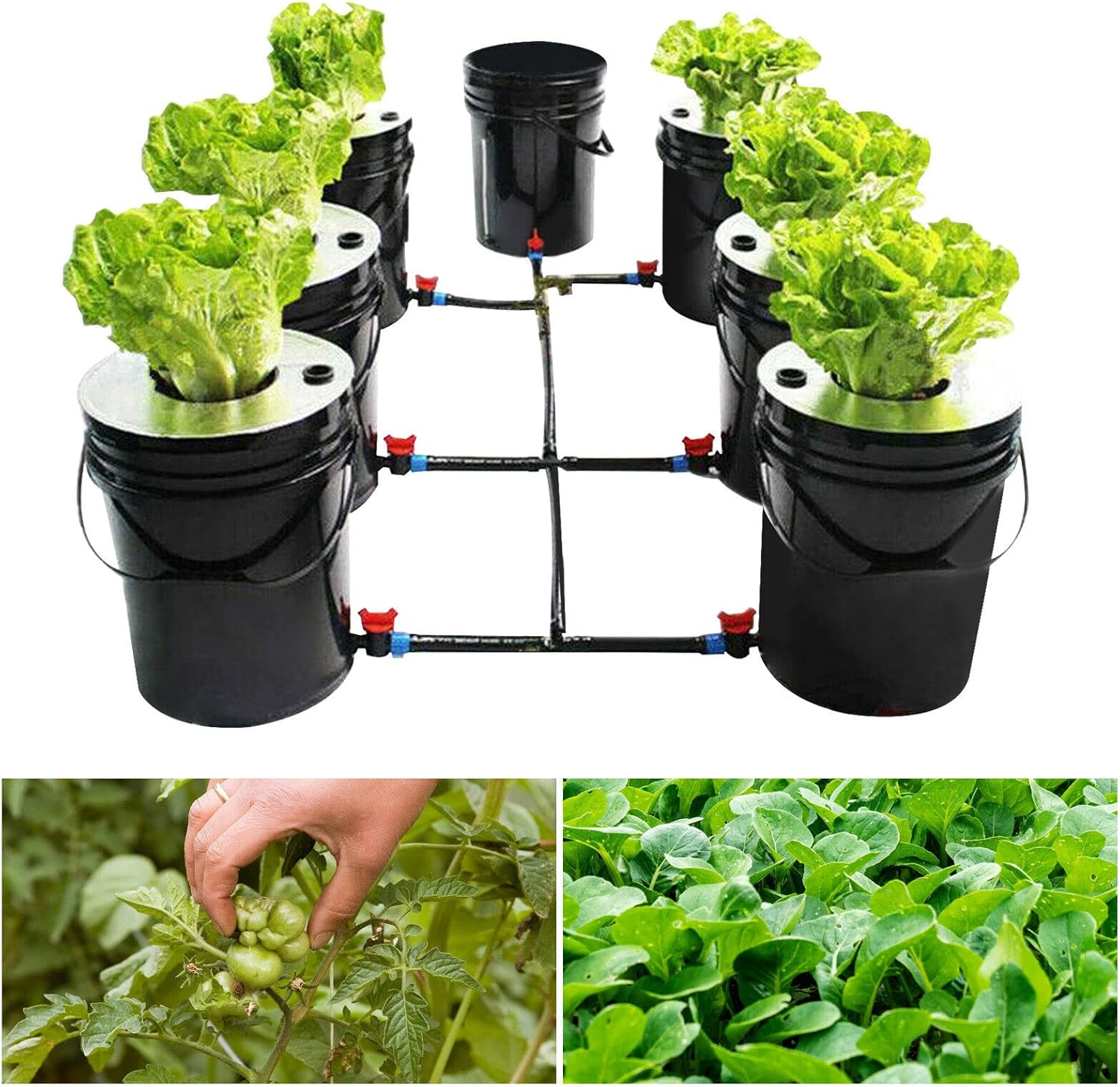 DWC Hydroponics Growing System, 7 Buckets 5 Gallon Recirculating Deep Water Culture, Multi Barrel Hydroponic Machine Drip Irrigation System for Vegetables