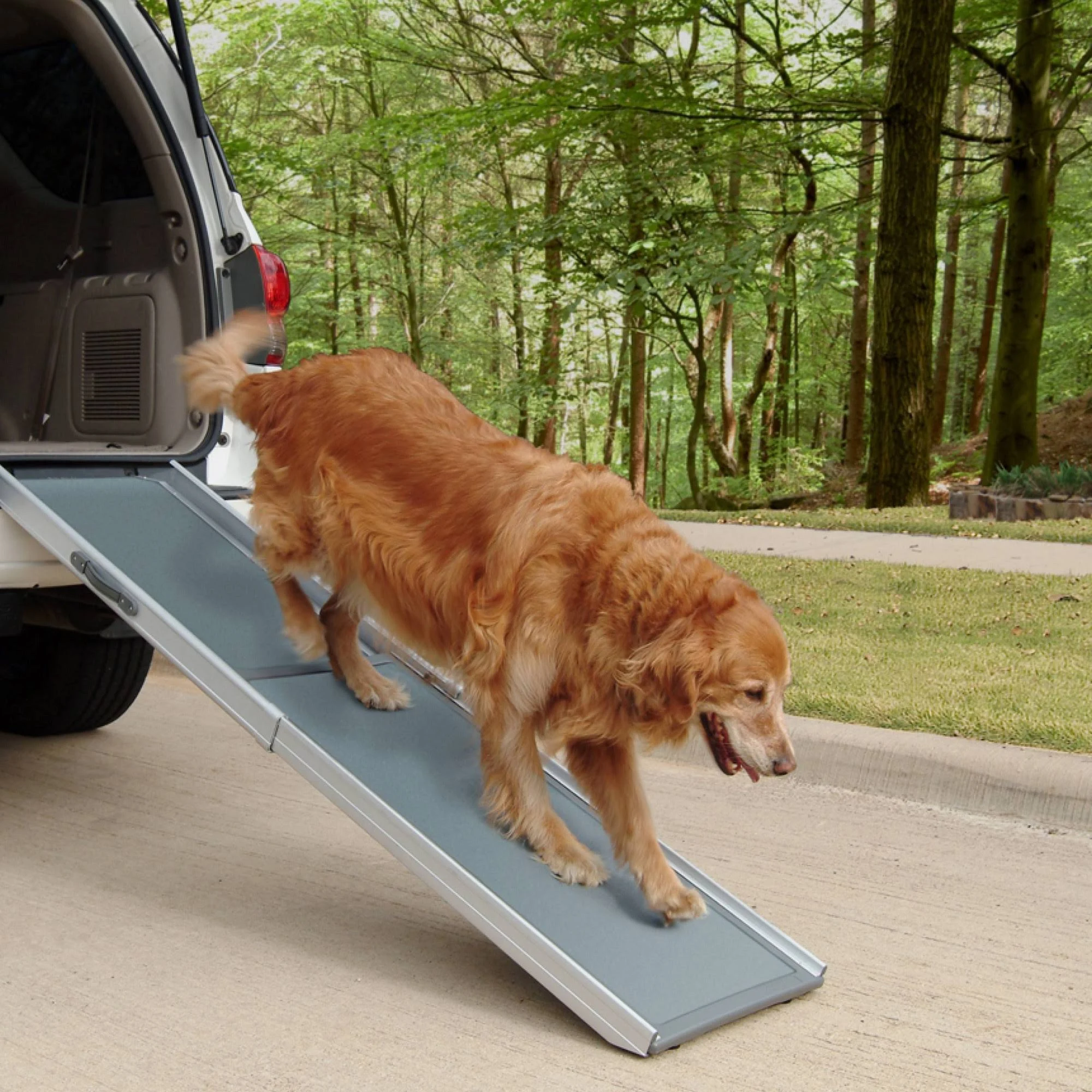 Solvit Deluxe Telescoping Pet Ramp Regular