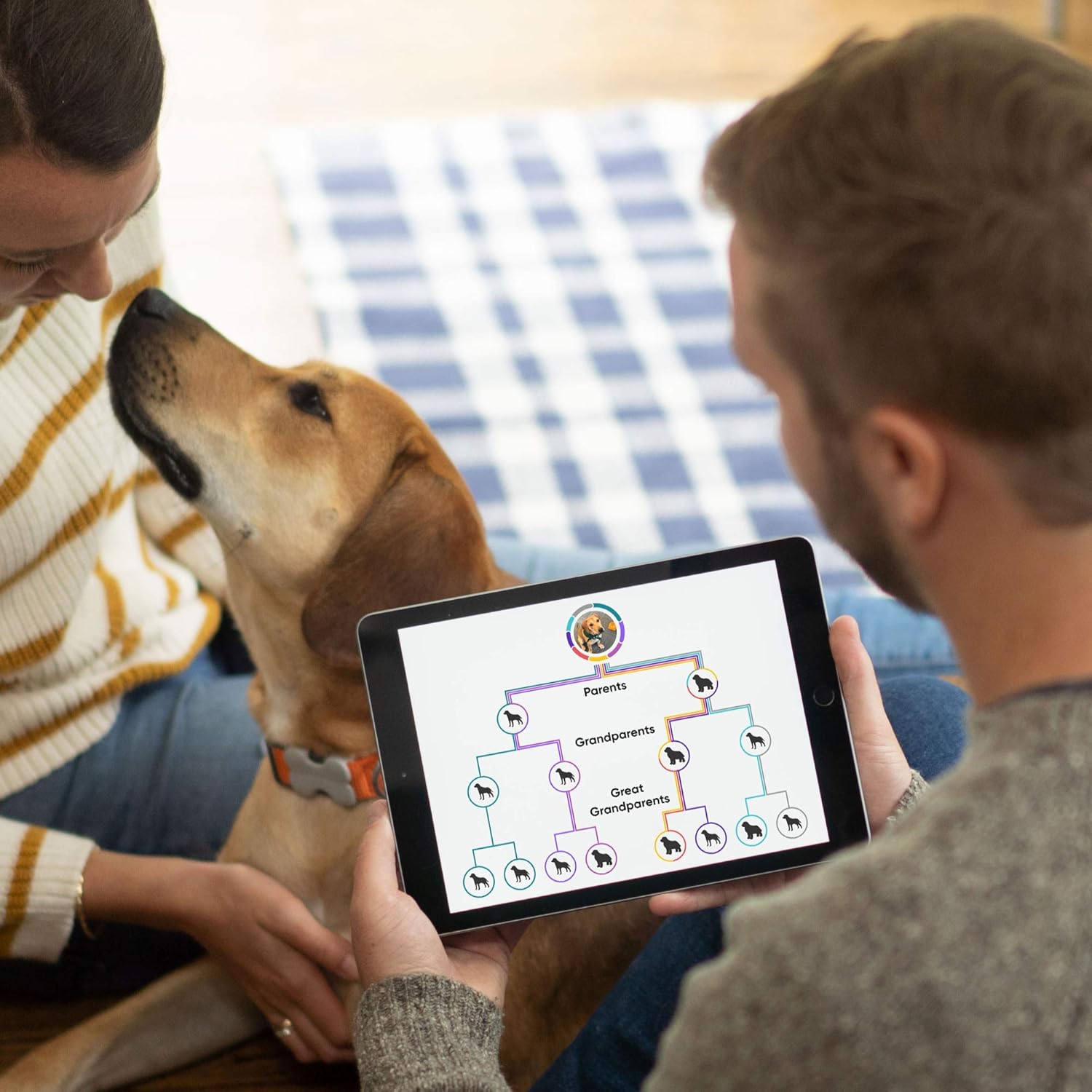 Embark | Dog DNA Test | Breed Identification Kit